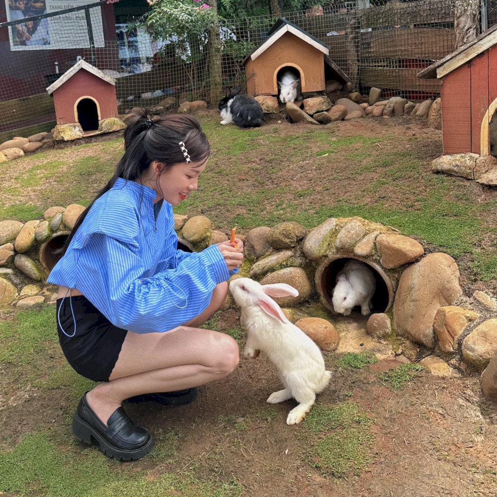 Du khách trải nghiệm cho thỏ ăn tại Bunny Hill